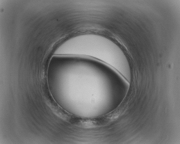 X0000084580407200702230940