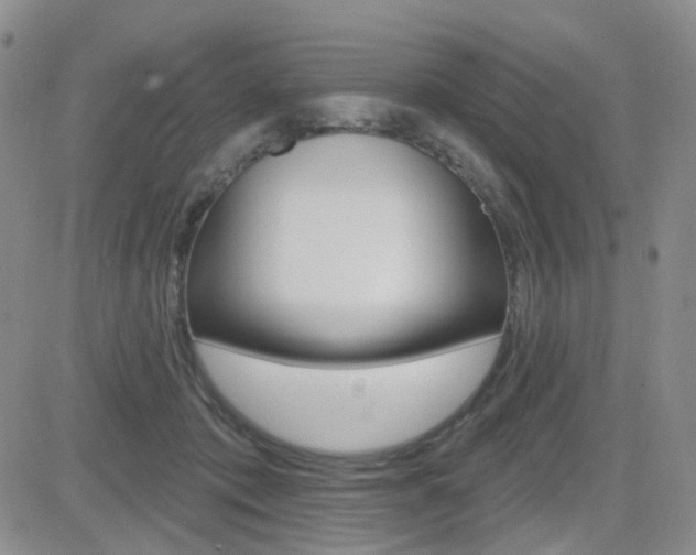 X0000084580413200702230940