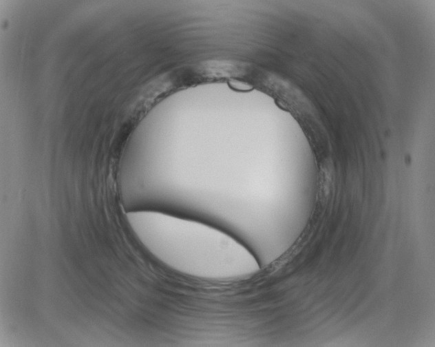 X0000084580422200702230940