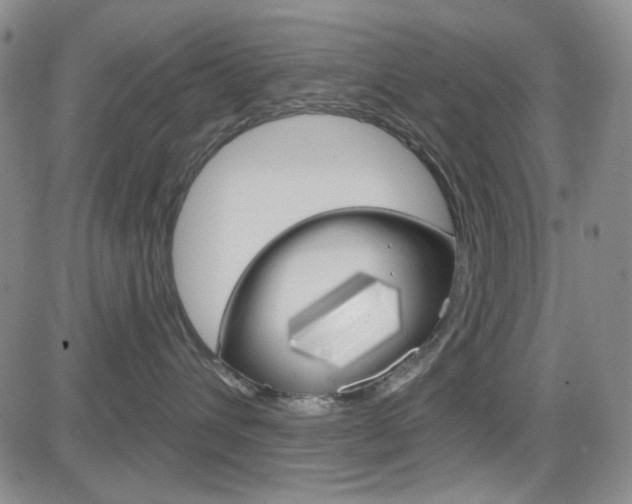 X0000084580432200702230940