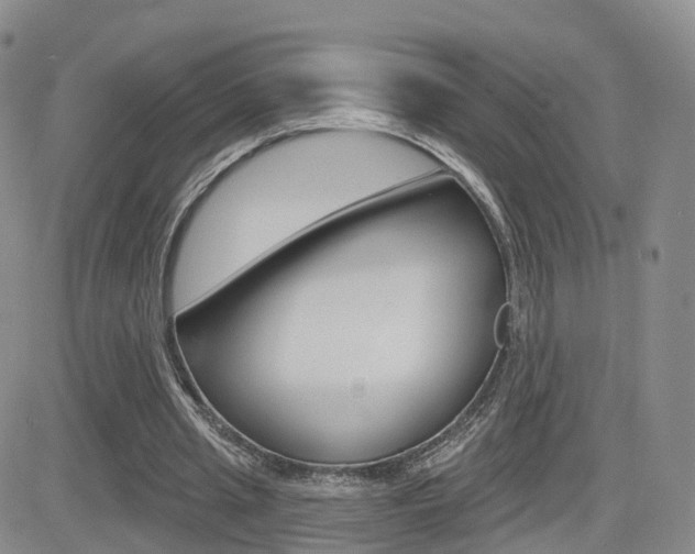 X0000084580437200702230939