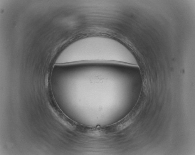 X0000084580454200702230940
