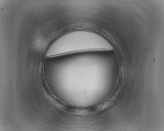 X0000084580458200702230940