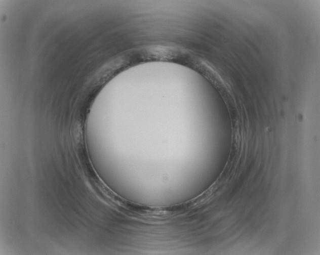X0000084580459200702230940