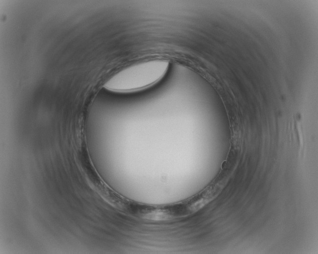 X0000084580460200702230940