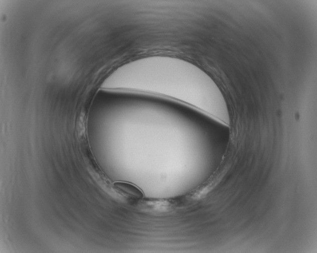 X0000084580478200702230940