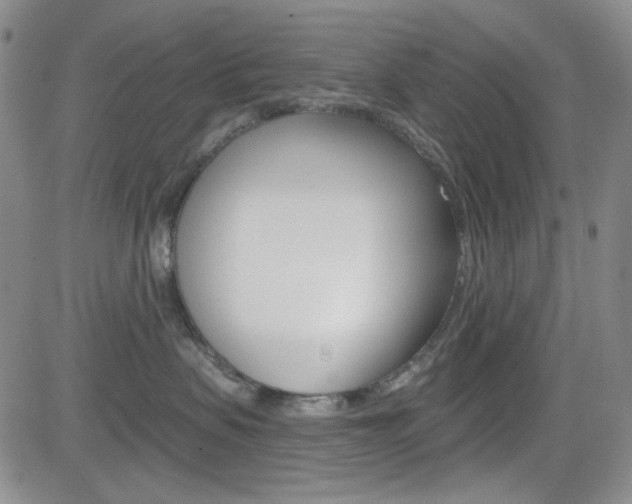 X0000084580479200702230940