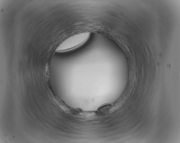 X0000084580480200702230940