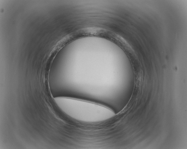 X0000084580500200702230939