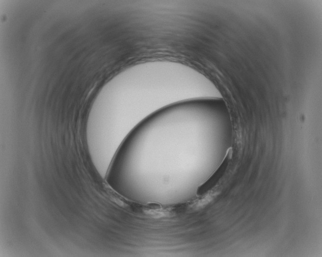 X0000084580516200702230939