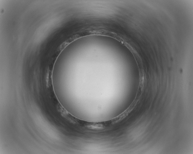 X0000084580525200702230938