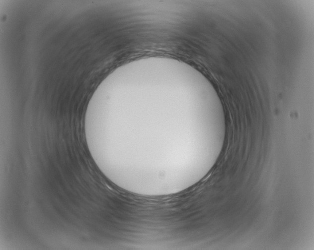 X0000084580528200702230938