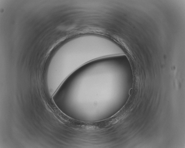 X0000084580539200702230938