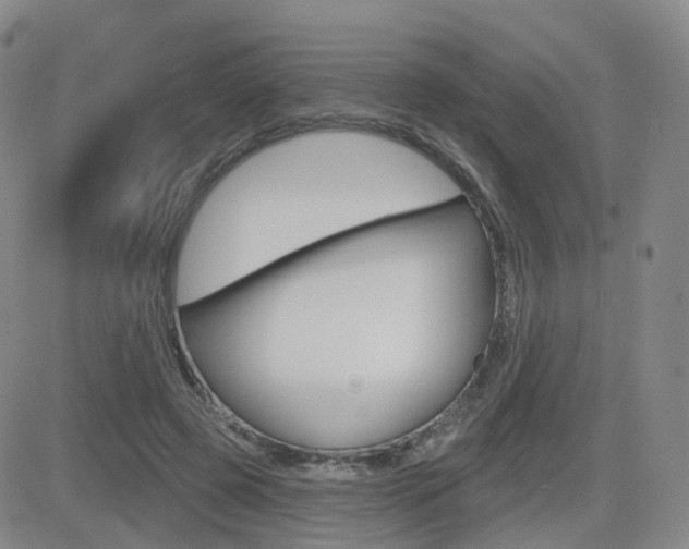 X0000084580545200702230938