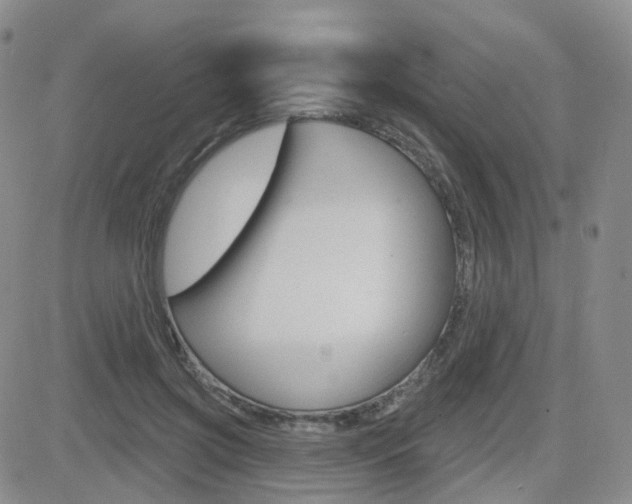 X0000084580549200702230938