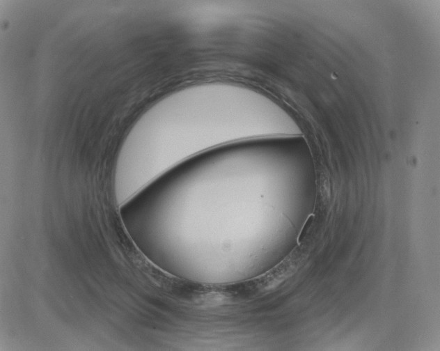 X0000084580551200702230938