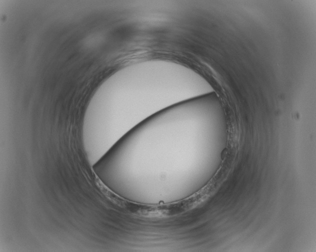 X0000084580553200702230938
