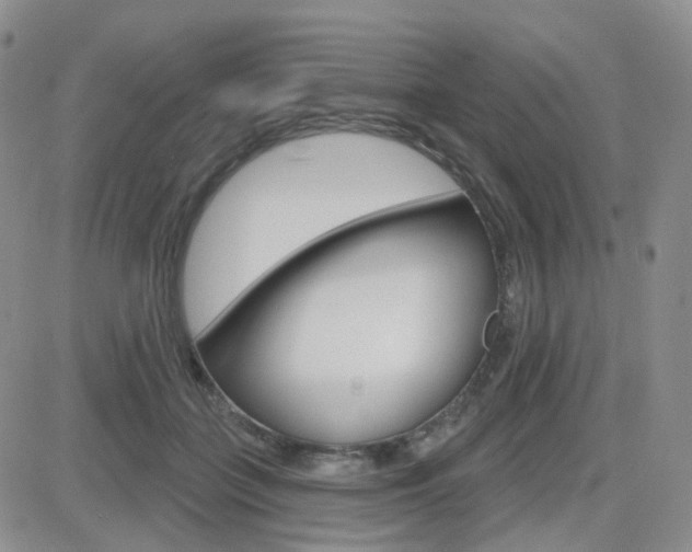 X0000084580555200702230938
