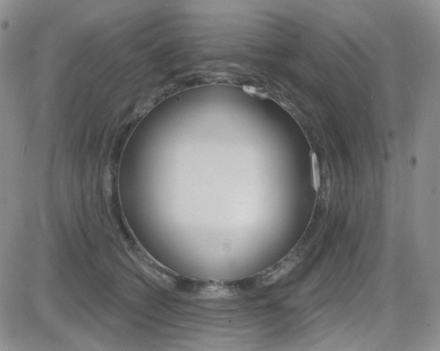 X0000084580562200702230938