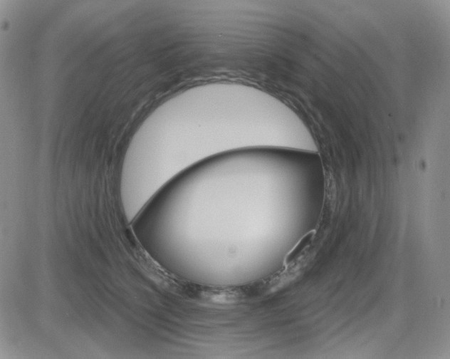 X0000084580564200702230938