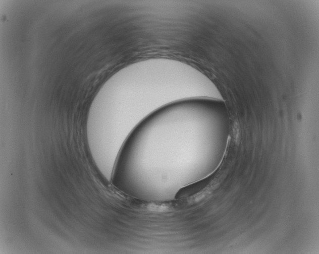 X0000084580570200702230938