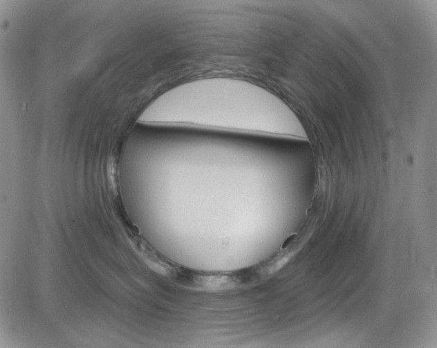 X0000084580575200702230938