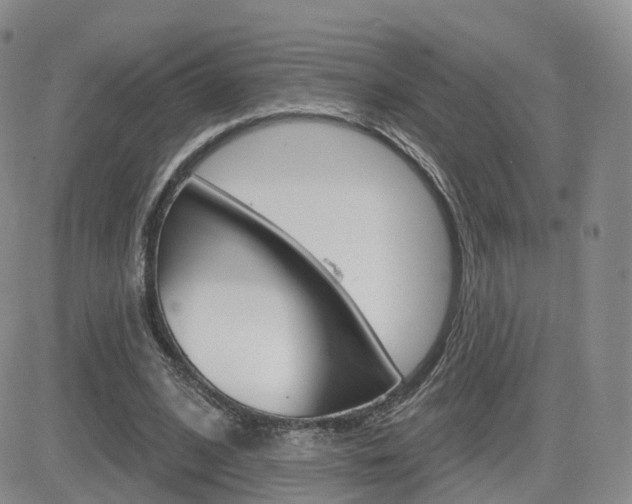 X0000084580584200702230937