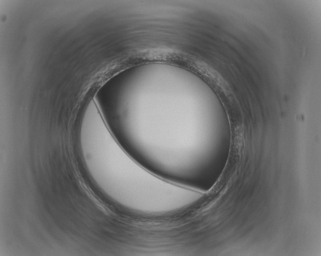X0000084580589200702230937
