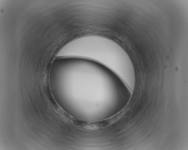 X0000084580604200702230937