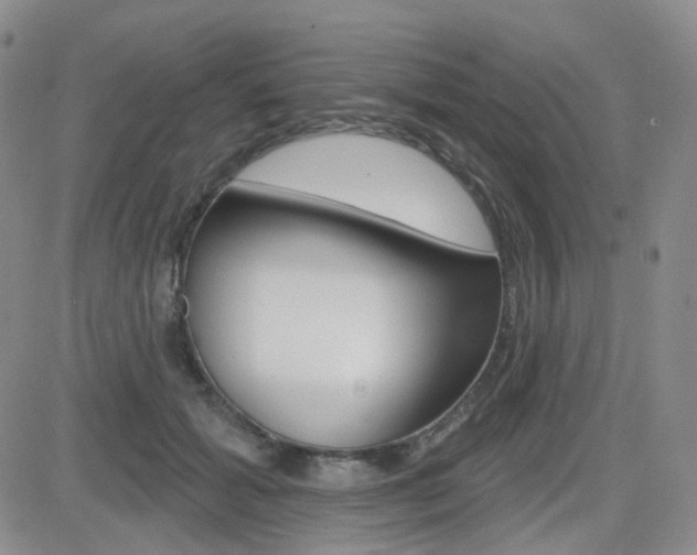 X0000084580605200702230937