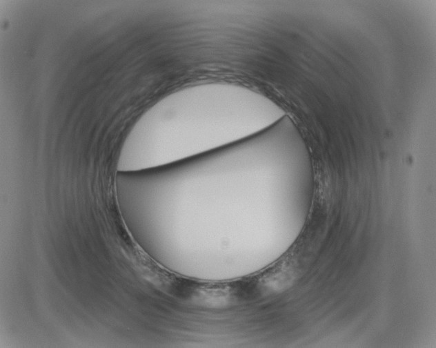 X0000084580606200702230937