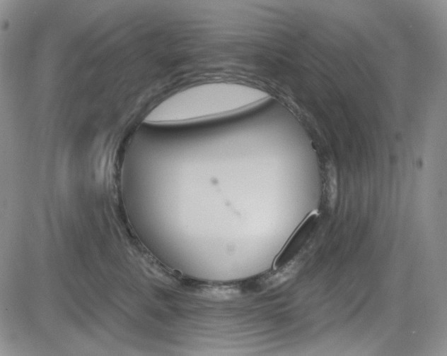X0000084580619200702230937