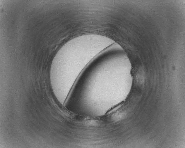X0000084580620200702230937
