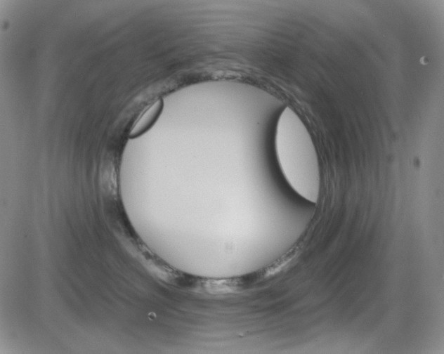 X0000084580622200702230937