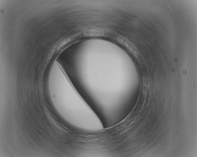 X0000084580631200702230936