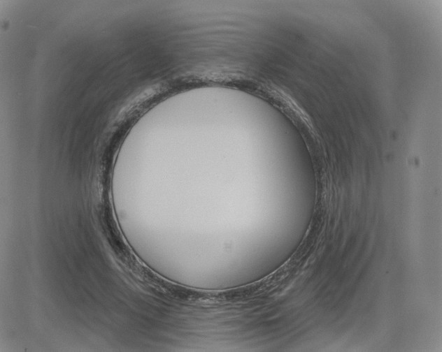 X0000084580635200702230936