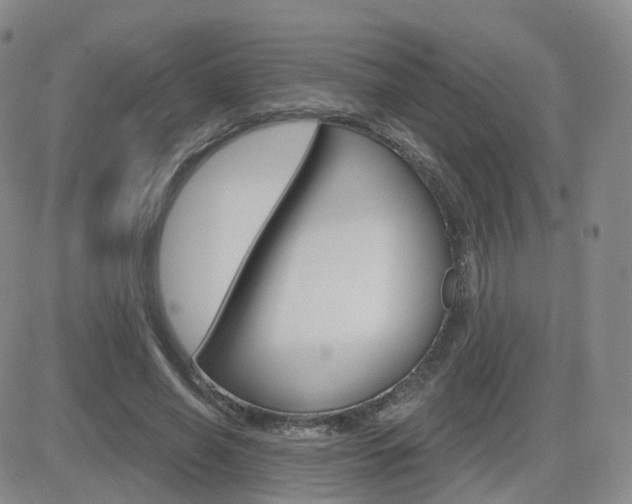 X0000084580638200702230936