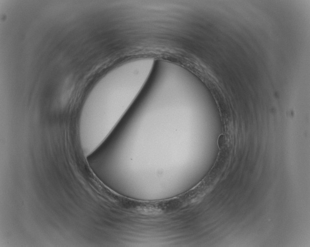 X0000084580644200702230936