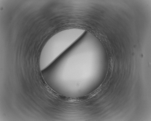 X0000084580657200702230936
