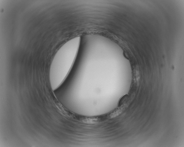 X0000084580664200702230937