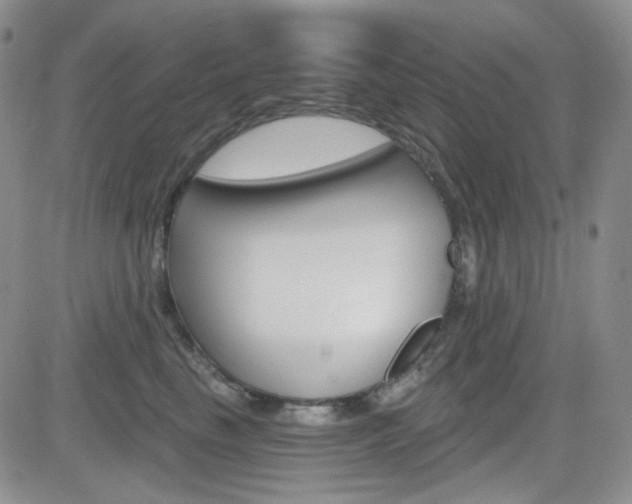 X0000084580665200702230937