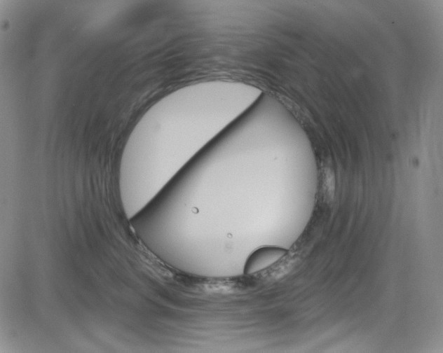 X0000084580668200702230937