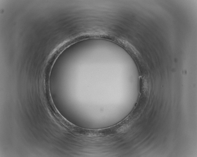 X0000084580684200702230936