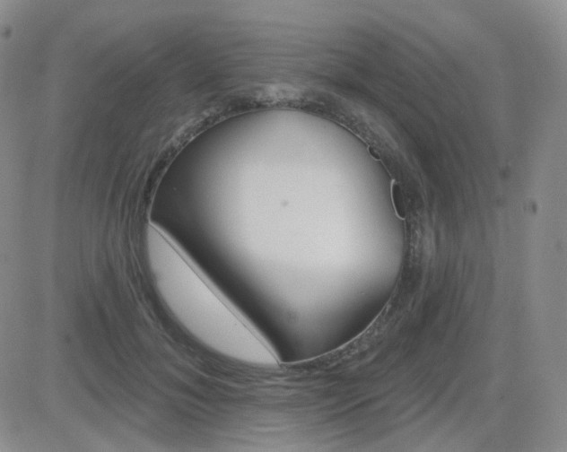 X0000084580700200702230935