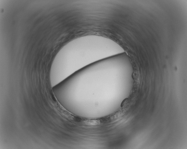 X0000084580711200702230935
