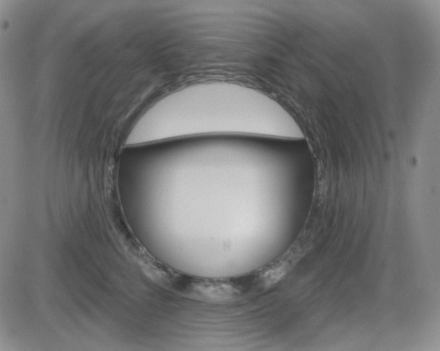 X0000084580712200702230935