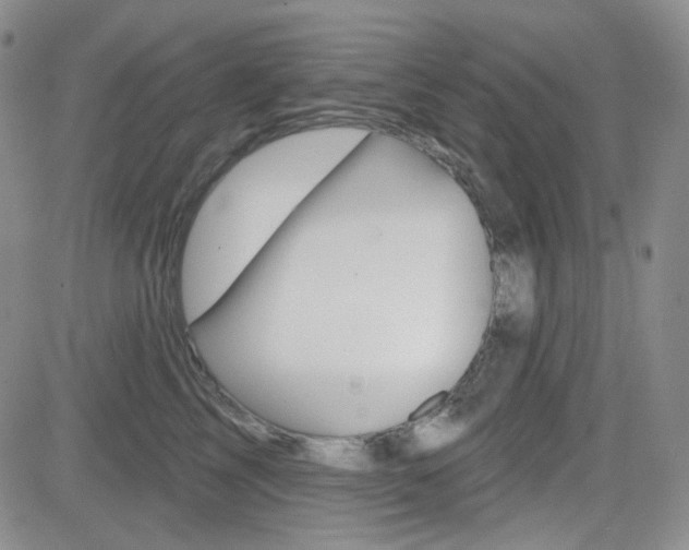 X0000084580713200702230935