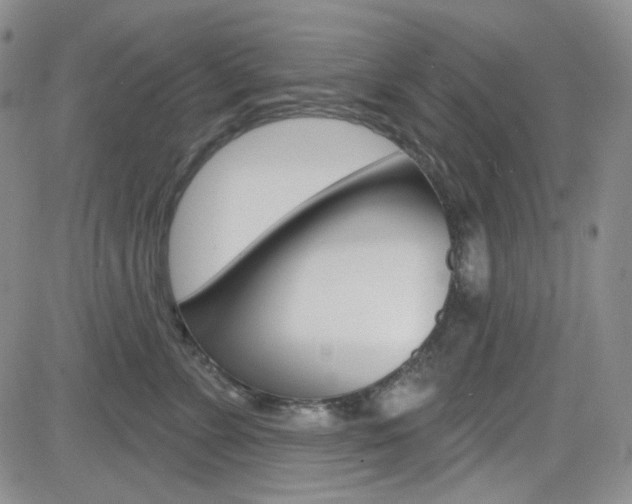 X0000084580715200702230935