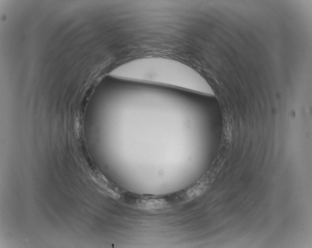 X0000084580716200702230935