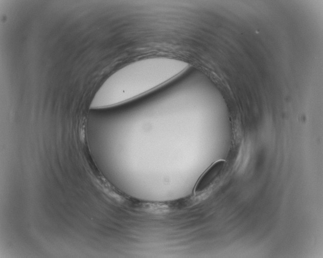 X0000084580719200702230935